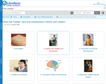 Infant and Toddler Care and Development (Taintor and LaMarr)
